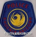 Pheonix-Police-Department-Patch-Arizona.jpg