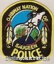 Ojibway-Nation-of-Saugeen-Police-Department-Patch-28Ontario2C-Canada29.jpg