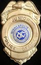 Minneapolis-Junior-Police-Badge-Department-Badge-Minnesota.jpg
