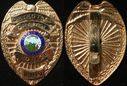 Crystal-Police-Detective-Department-Badge-Minnesota.jpg