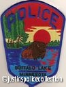 Buffalo-Lake-Police-Department-Patch-Minnesota.jpg