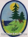 Pequout-Lakes-Police-Department-Patch-Minnesota.jpg