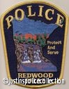 Redwood-Falls-Police-Department-Patch-Minnesota-5.jpg