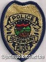 Rosemount-Police-Department-Patch-Minnesota-05.jpg