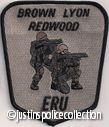 Brown-Lyon-Redwood-ERU-Department-Patch-Minnesota.jpg