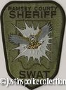 Ramsey-County-Sheriff-SWAT-Department-Patch-Minnesota-3.jpg