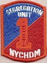 NYC-Segregation-Unit-Department-Patch-New-York-28hat-patch29.jpg