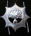 Holland-State-Police-Department-Badge.jpg