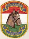 National-Police-Mounted-Unit-Department-Patch-28Hungary29.jpg